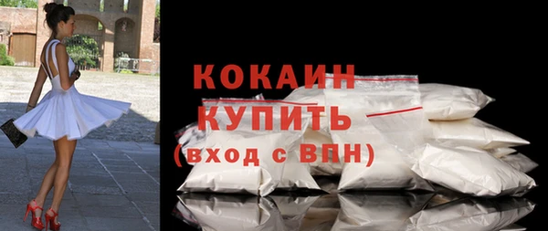прущие грибы Осташков