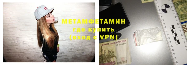 прущие грибы Осташков