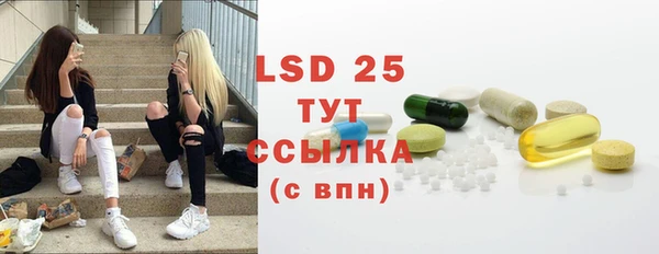 прущие грибы Осташков