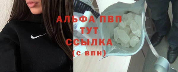 прущие грибы Осташков