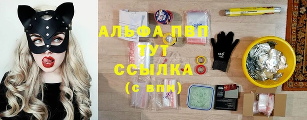 прущие грибы Осташков