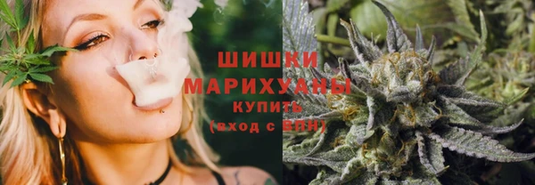 прущие грибы Осташков