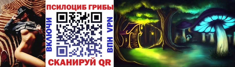 Псилоцибиновые грибы мицелий  Красноармейск 