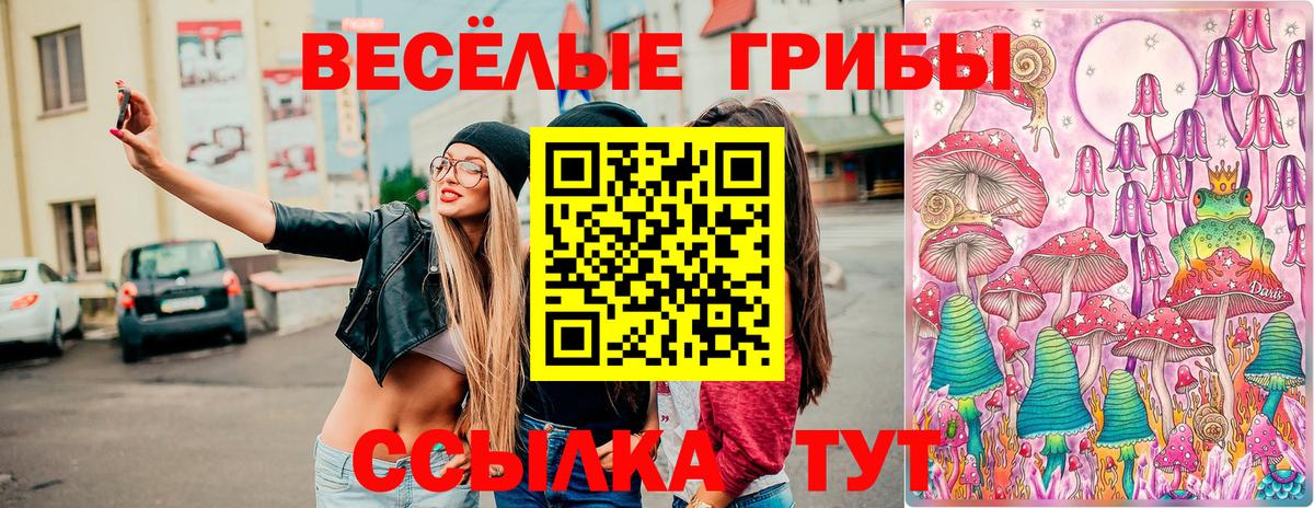 Галлюциногенные грибы прущие грибы  Красноармейск  Галлюциногенные грибы Magic Shrooms 