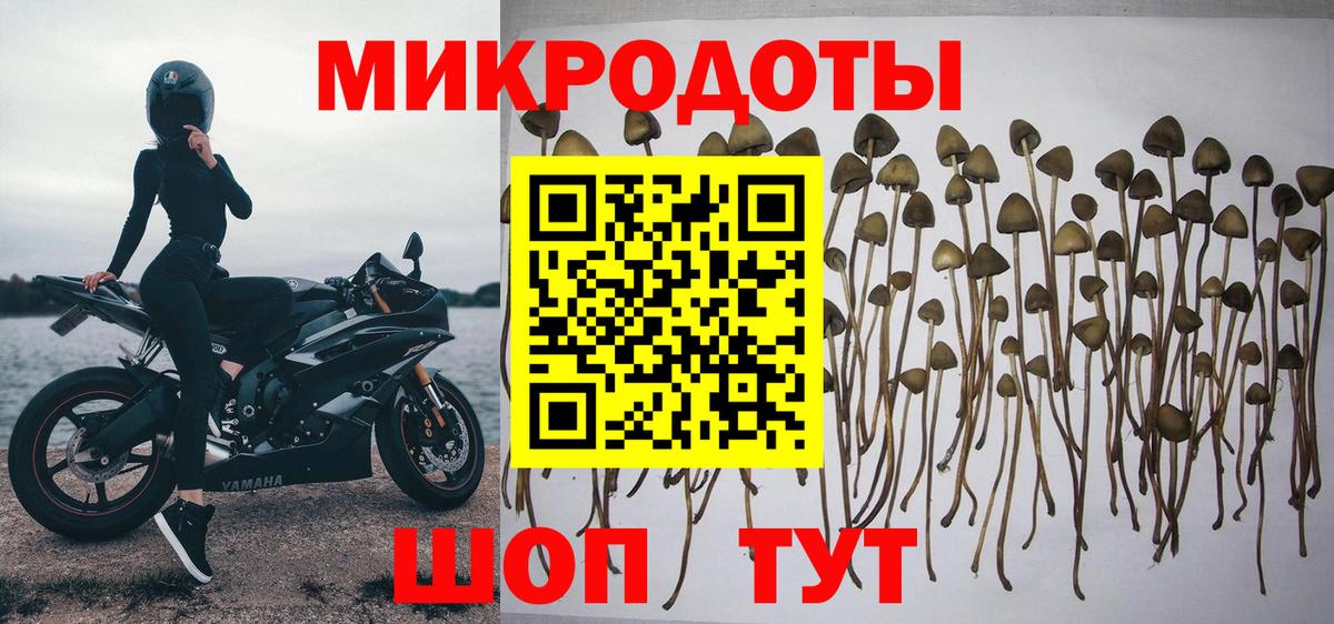 Галлюциногенные грибы мухоморы  Псилоцибиновые грибы Psilocybe  Красноармейск  Вход с VPN 