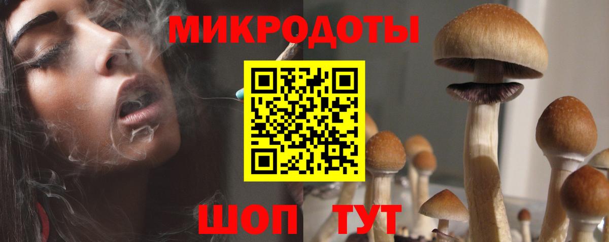Галлюциногенные грибы MAGIC MUSHROOMS Красноармейск